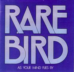 Rare Bird : As Your Mind Flies by